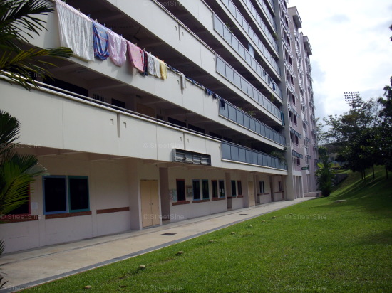 Blk 642 Jurong West Street 61 (Jurong West), HDB 5 Rooms #422422